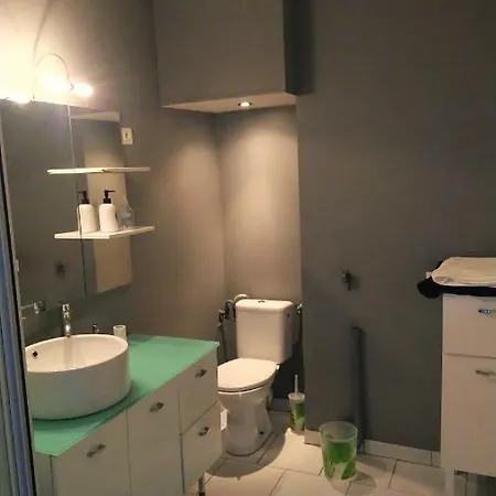 Quai De Versailles Apartment